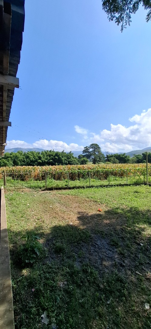 Finca o Hacienda en Venta en Asentamiento Campesino Colonia de Chirgua, Bejuma, Bejuma, Carabobo - Cod. 0010 | Veracasa Inmobiliaria - Imagen 5