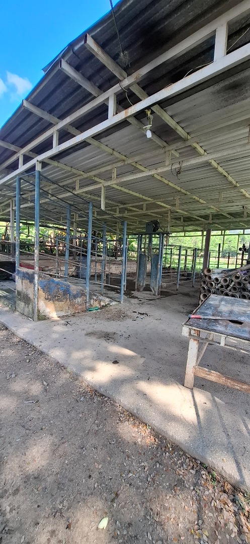 Finca o Hacienda en Venta en Asentamiento Campesino Colonia de Chirgua, Bejuma, Bejuma, Carabobo - Cod. 0010 | Veracasa Inmobiliaria - Imagen 7