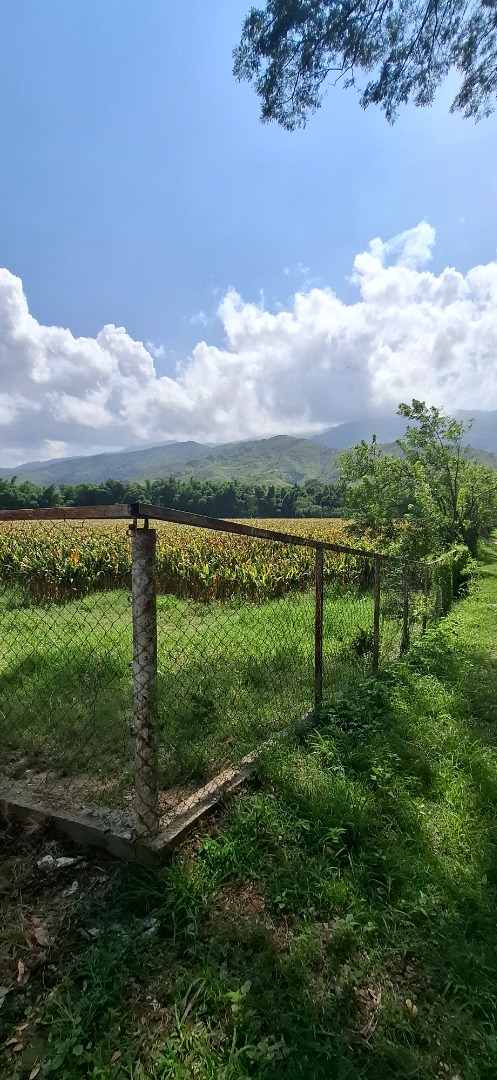 Finca o Hacienda en Venta en Asentamiento Campesino Colonia de Chirgua, Bejuma, Bejuma, Carabobo - Cod. 0010 | Veracasa Inmobiliaria - Imagen 8