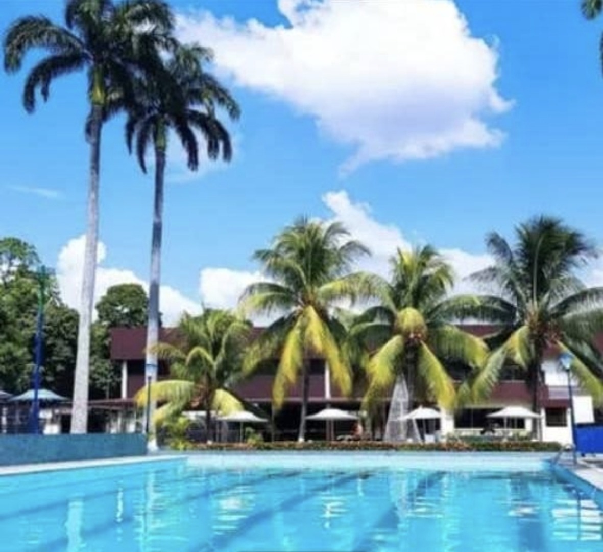 Acciones en Club en Venta en Círculo Cubano Venezolano Valencia, Valencia, Naguanagua, Carabobo - Cod. 0004 | Veracasa Inmobiliaria - Imagen 5