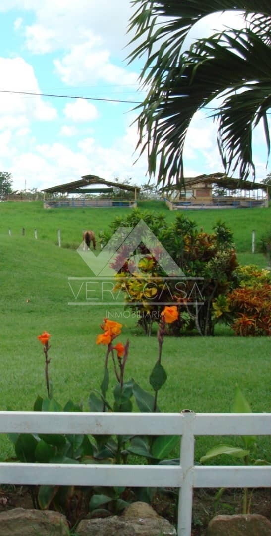 Finca o Hacienda en Venta en Sector Altos de Guayabitos , Tinaquillo, Tinaquillo, Cojedes - Cod. 0012 | Veracasa Inmobiliaria - Imagen 3