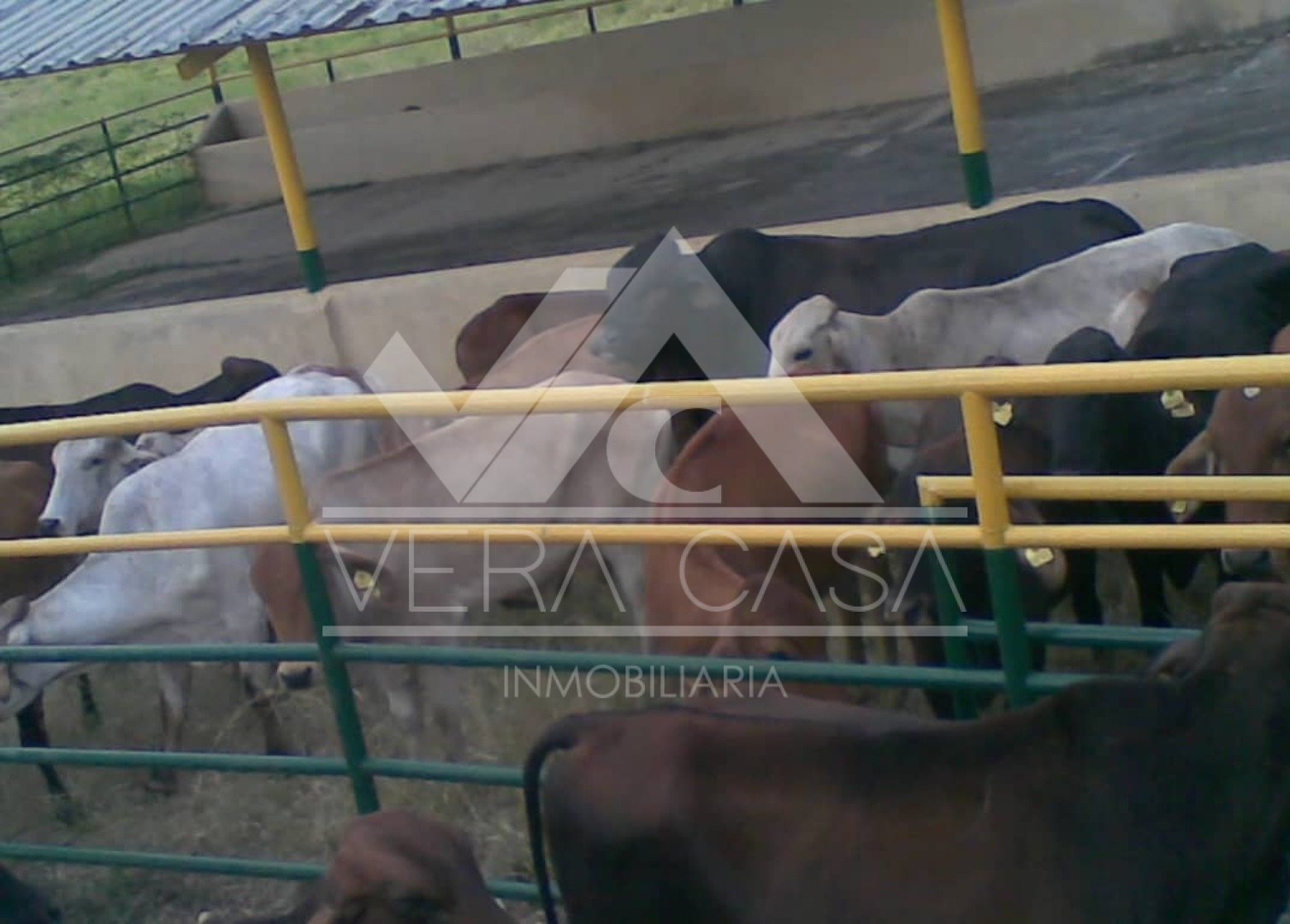 Finca o Hacienda en Venta en Sector Altos de Guayabitos , Tinaquillo, Tinaquillo, Cojedes - Cod. 0012 | Veracasa Inmobiliaria - Imagen 8