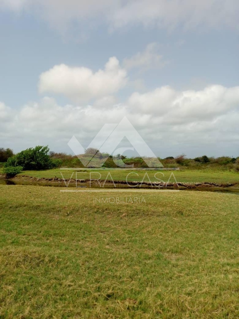 Terreno en Venta en San Juan de los cayos, San Juan de Los Cayos, Falcón, Falcón - Cod. 0072 | Veracasa Inmobiliaria - Imagen 1