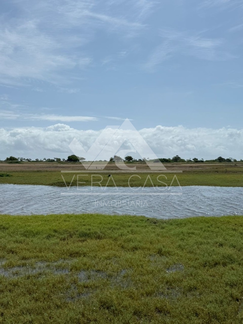 Terreno en Venta en San Juan de los cayos, San Juan de Los Cayos, Falcón, Falcón - Cod. 0072 | Veracasa Inmobiliaria - Imagen 2