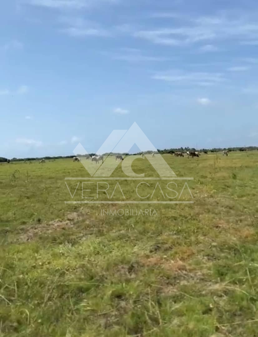 Terreno en Venta en San Juan de los cayos, San Juan de Los Cayos, Falcón, Falcón - Cod. 0072 | Veracasa Inmobiliaria - Imagen 3