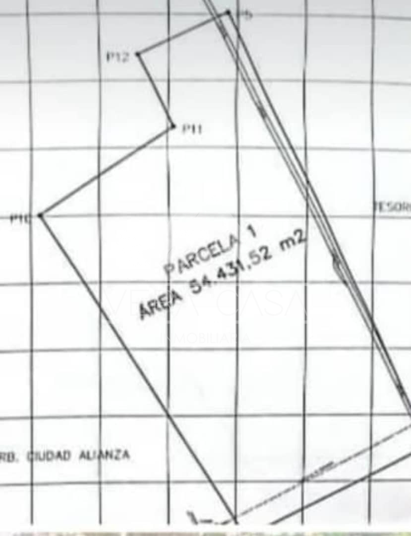 Terreno en Venta en Terreno en Av principal ciudad alianza, Ciudad Alianza, Guacara, Carabobo - Cod. 0075 | Veracasa Inmobiliaria - Imagen 2