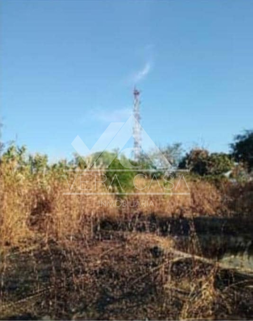 Terreno en Venta en Terreno en Av principal ciudad alianza, Ciudad Alianza, Guacara, Carabobo - Cod. 0075 | Veracasa Inmobiliaria - Imagen 4