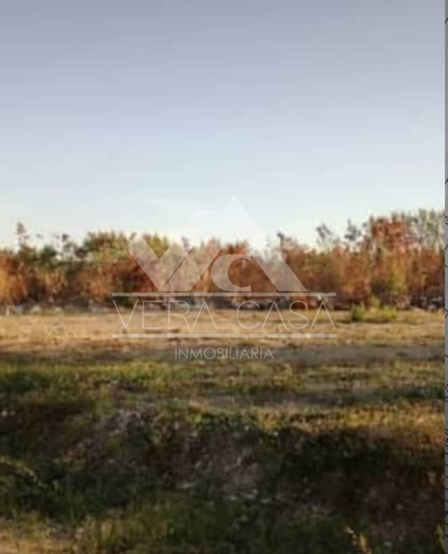 Terreno en Venta en Terreno en Av principal ciudad alianza, Ciudad Alianza, Guacara, Carabobo - Cod. 0075 | Veracasa Inmobiliaria - Imagen 5