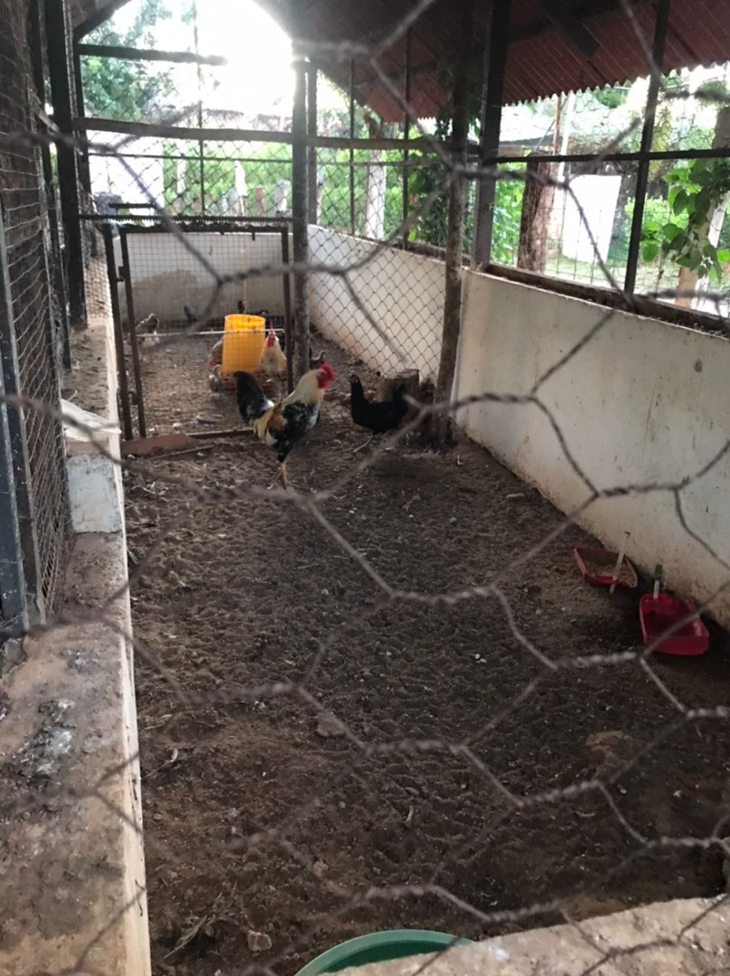 Terreno en Venta en Complejo Villas los Aguacates Campo Carabobo , Tocuyito, Libertador, Carabobo - Cod. 0076 | Veracasa Inmobiliaria - Imagen 9