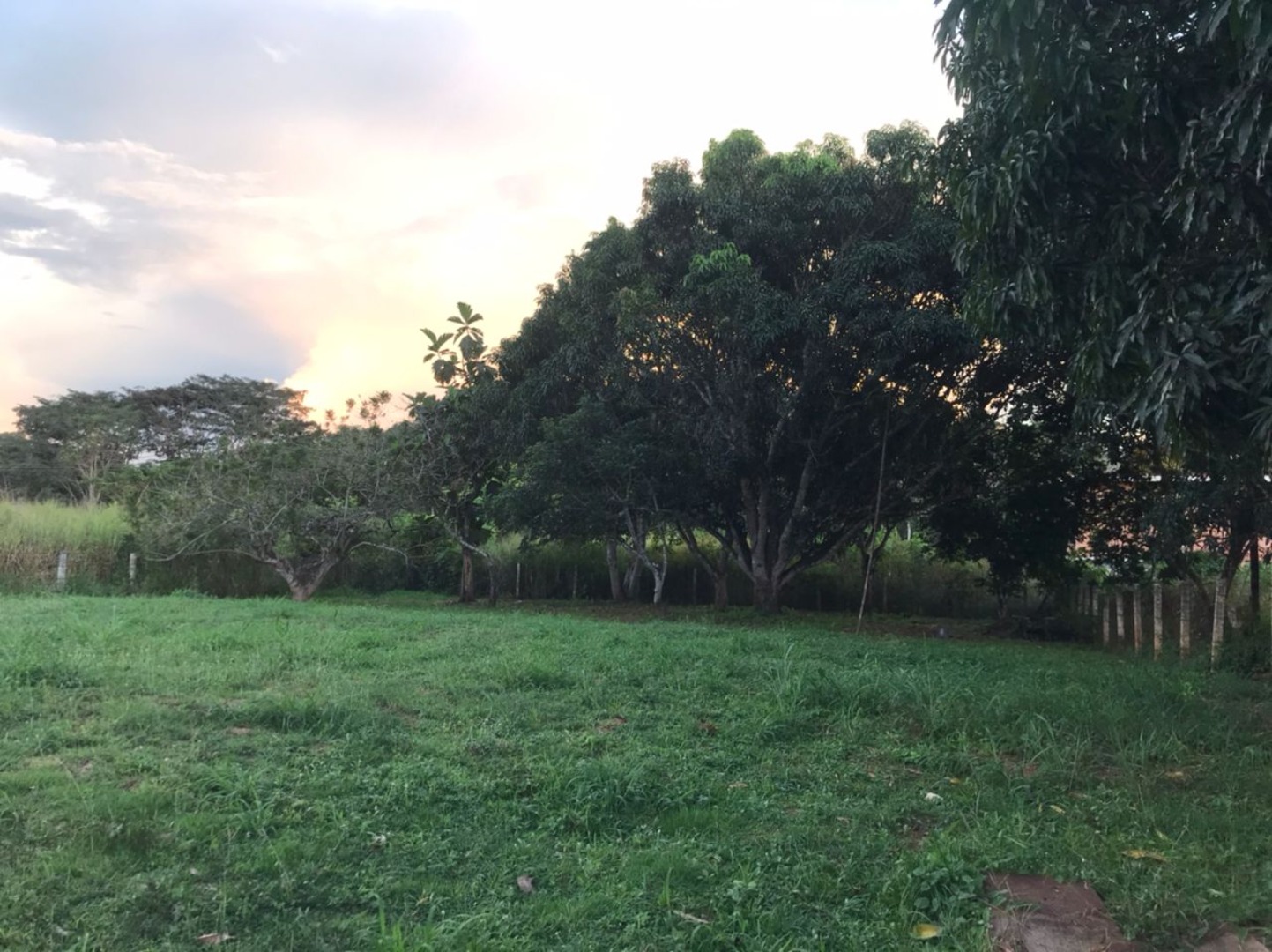 Terreno en Venta en Complejo Villas los Aguacates Campo Carabobo , Tocuyito, Libertador, Carabobo - Cod. 0076 | Veracasa Inmobiliaria - Imagen 6