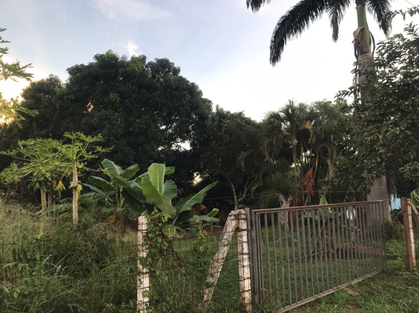 Terreno en Venta en Complejo Villas los Aguacates Campo Carabobo , Tocuyito, Libertador, Carabobo - Cod. 0076 | Veracasa Inmobiliaria - Imagen 5