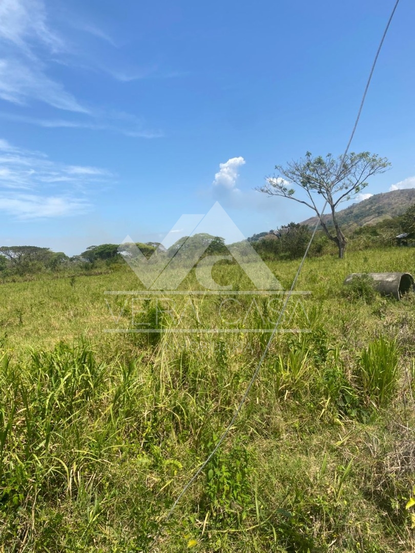 Finca o Hacienda en Venta en La encantada , Central Tacarigua, Carlos Arvelo, Carabobo - Cod. 0014 | Veracasa Inmobiliaria - Imagen 3