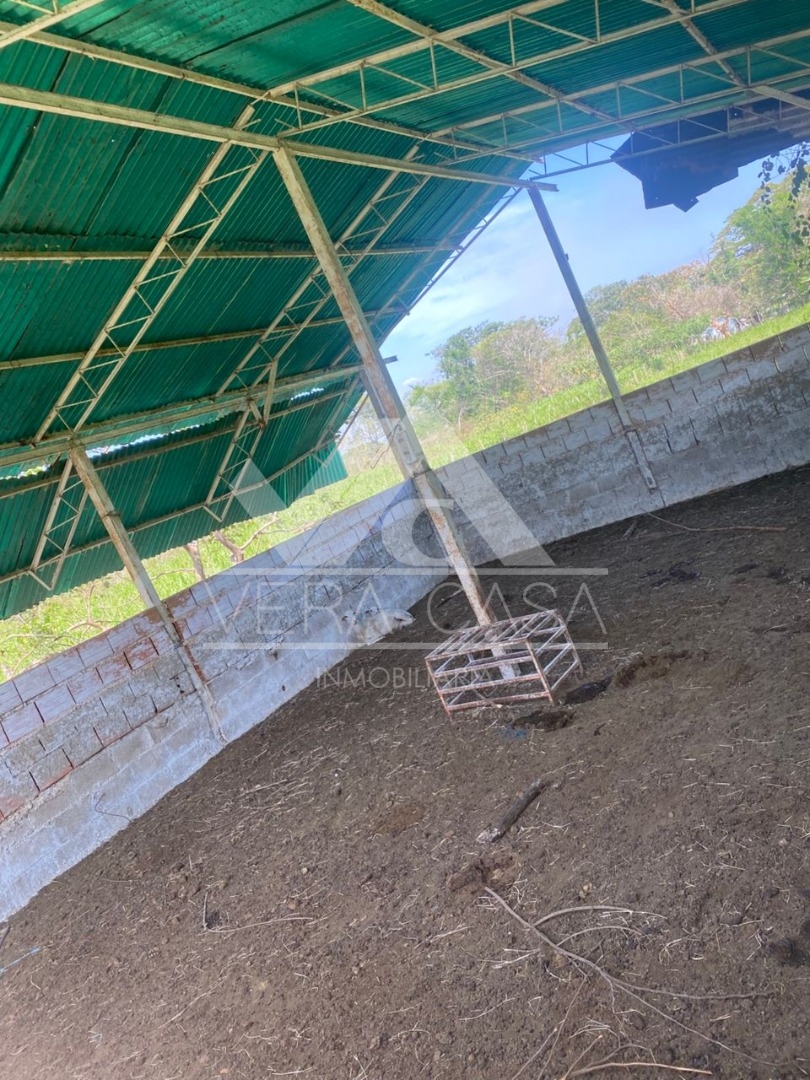 Finca o Hacienda en Venta en La encantada , Central Tacarigua, Carlos Arvelo, Carabobo - Cod. 0014 | Veracasa Inmobiliaria - Imagen 4
