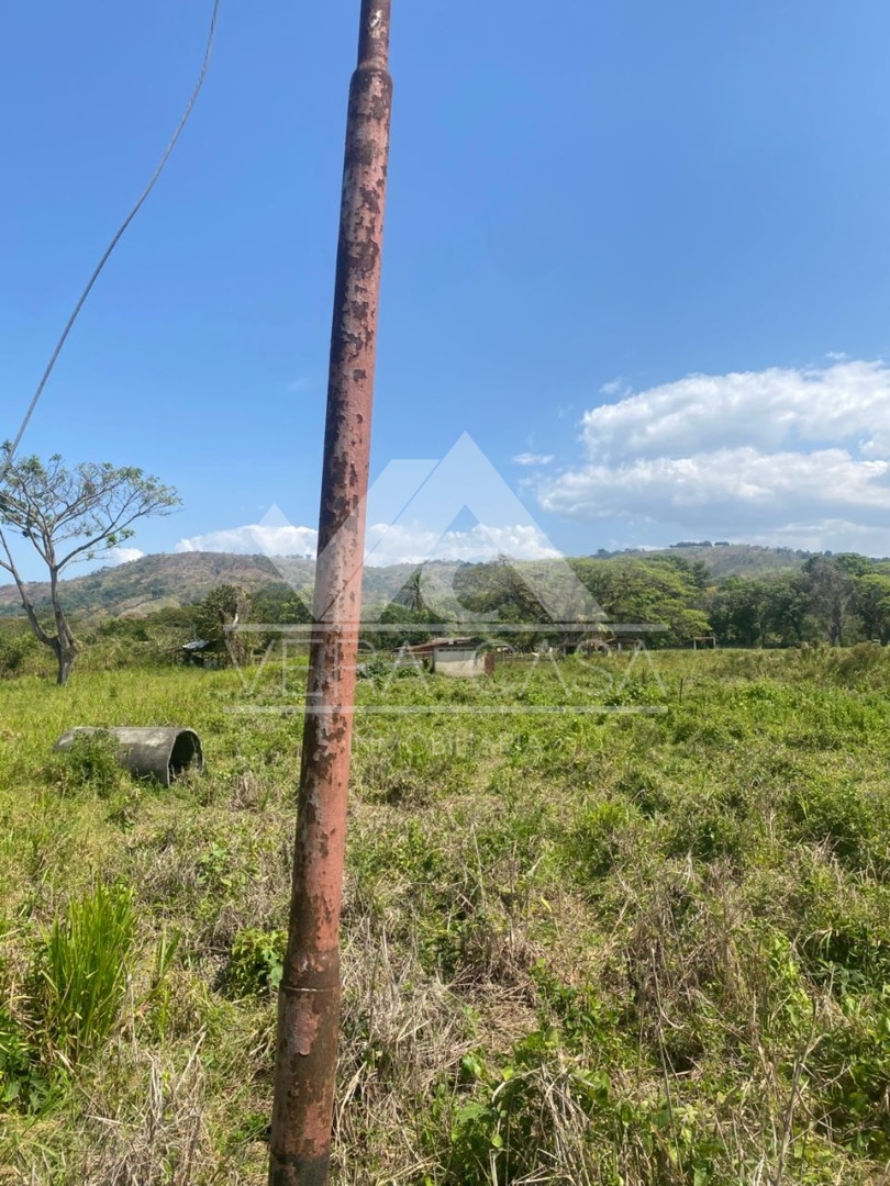Finca o Hacienda en Venta en La encantada , Central Tacarigua, Carlos Arvelo, Carabobo - Cod. 0014 | Veracasa Inmobiliaria - Imagen 5