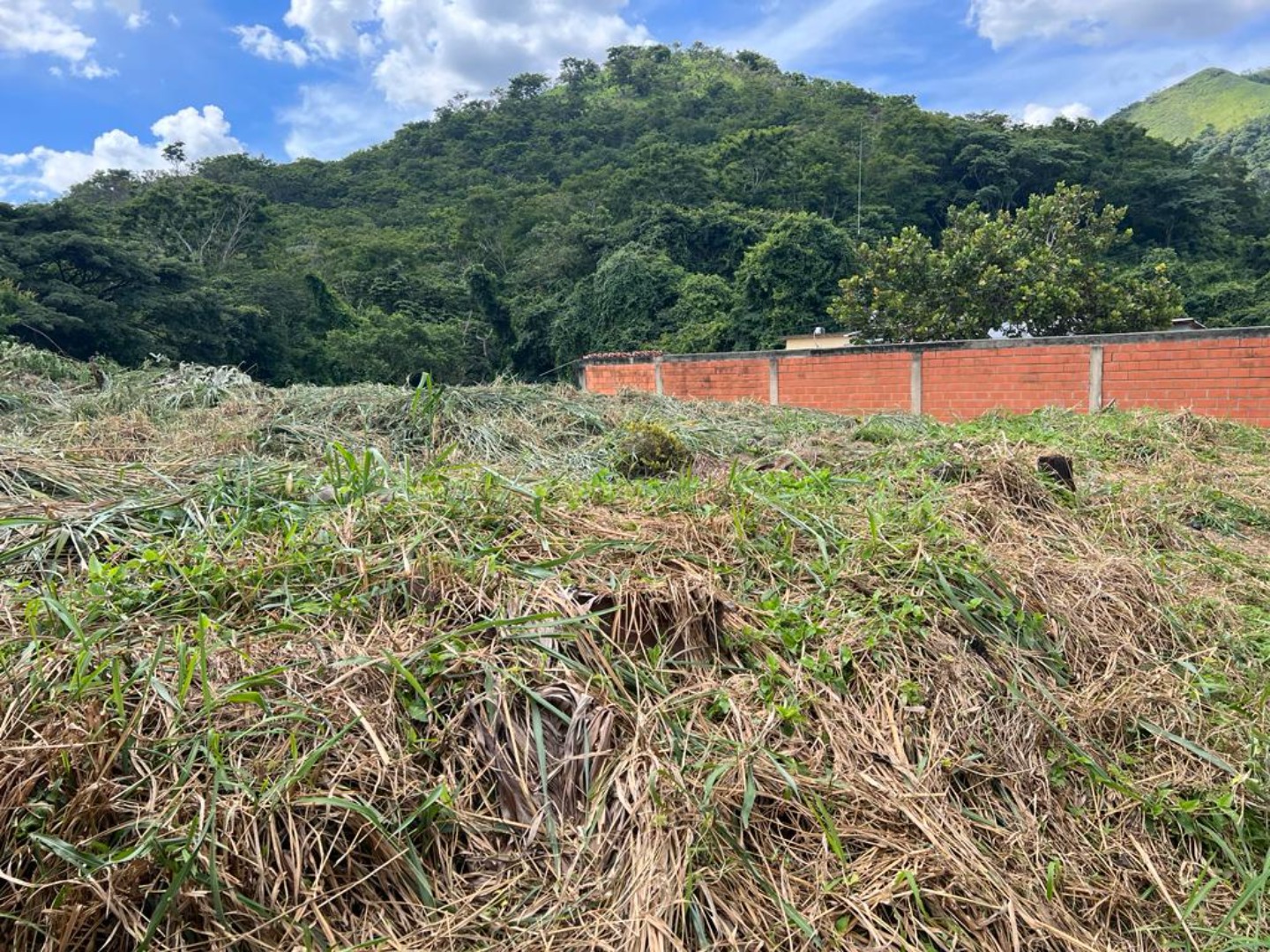 Terreno en Venta en Colinas de Guataparo , Valencia, Valencia, Carabobo - Cod. 0027 | Veracasa Inmobiliaria - Imagen 3