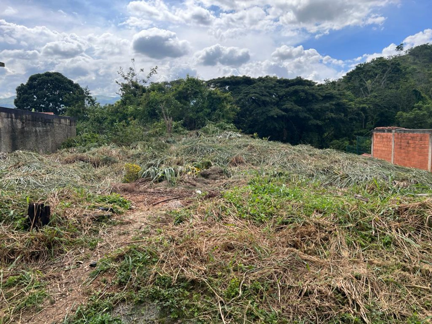 Terreno en Venta en Colinas de Guataparo , Valencia, Valencia, Carabobo - Cod. 0027 | Veracasa Inmobiliaria - Imagen 2